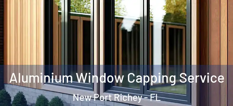 Aluminium Window Capping Service New Port Richey - FL