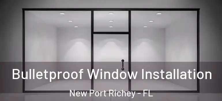 Bulletproof Window Installation New Port Richey - FL