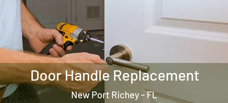  Door Handle Replacement New Port Richey - FL