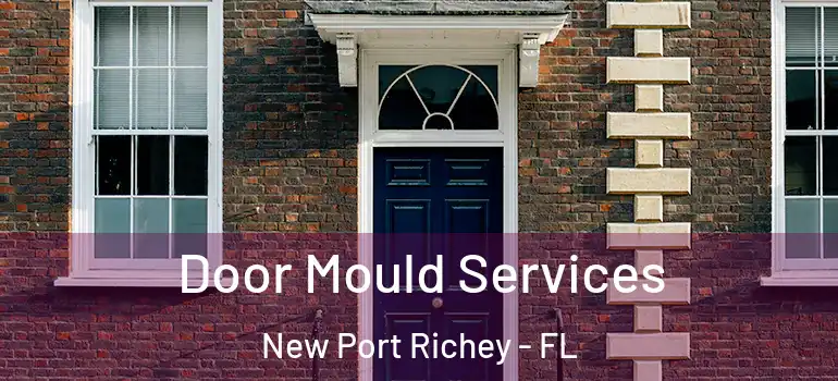 Door Mould Services New Port Richey - FL