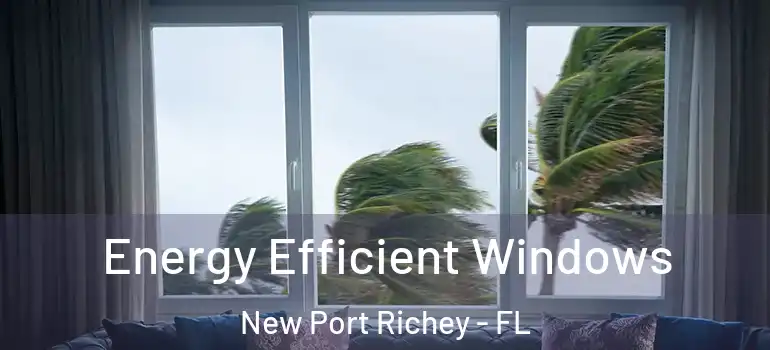 Energy Efficient Windows New Port Richey - FL