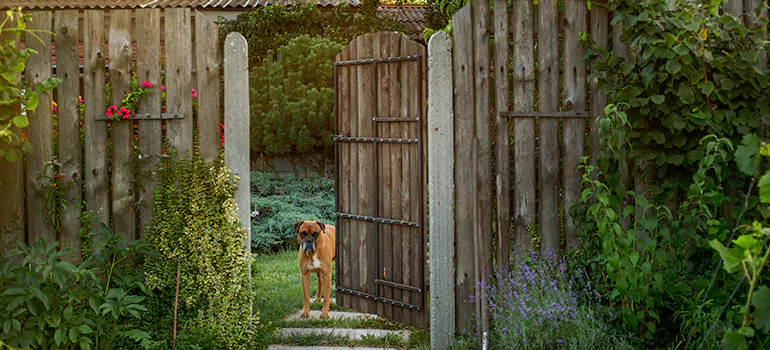Winter Garden Garage Door Repair in New Port Richey,[location field=state]