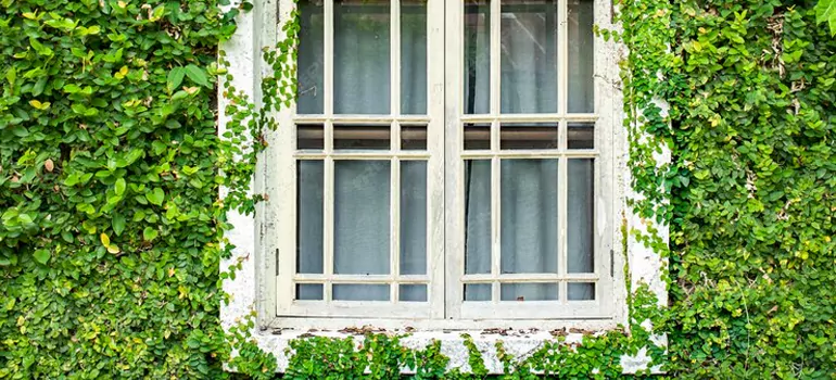 Garden Window Repair Near Me in New Port Richey, FL