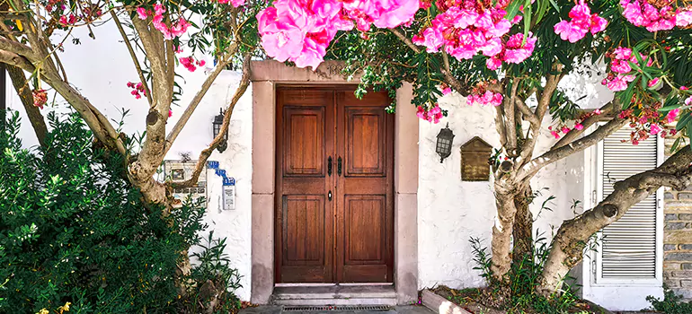 Traditional 4 Panel Internal Doors in New Port Richey, FL