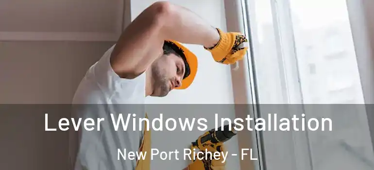  Lever Windows Installation New Port Richey - FL