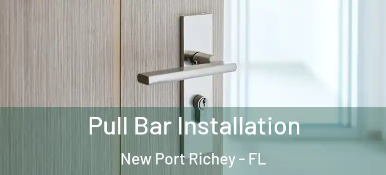  Pull Bar Installation New Port Richey - FL