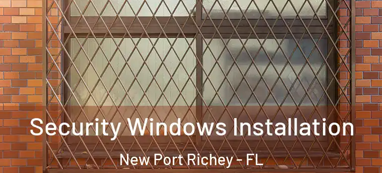 Security Windows Installation New Port Richey - FL