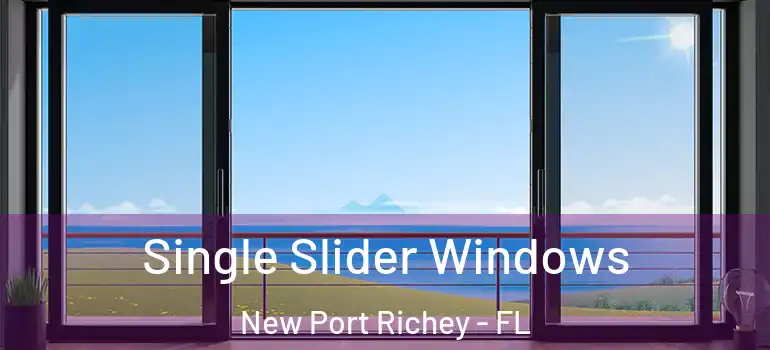  Single Slider Windows New Port Richey - FL