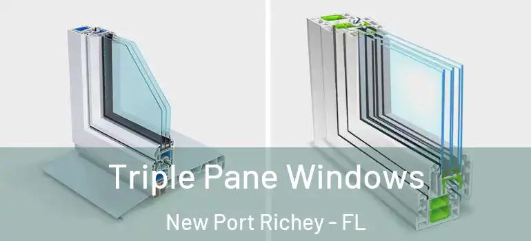  Triple Pane Windows New Port Richey - FL