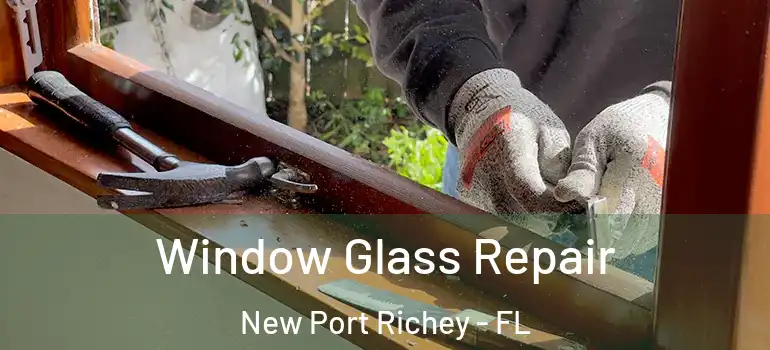 Window Glass Repair New Port Richey - FL