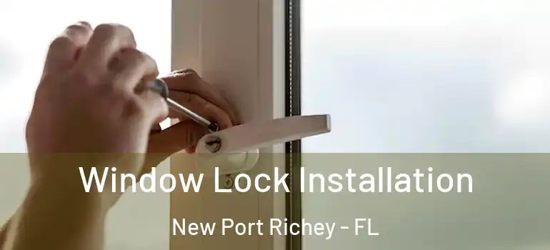  Window Lock Installation New Port Richey - FL