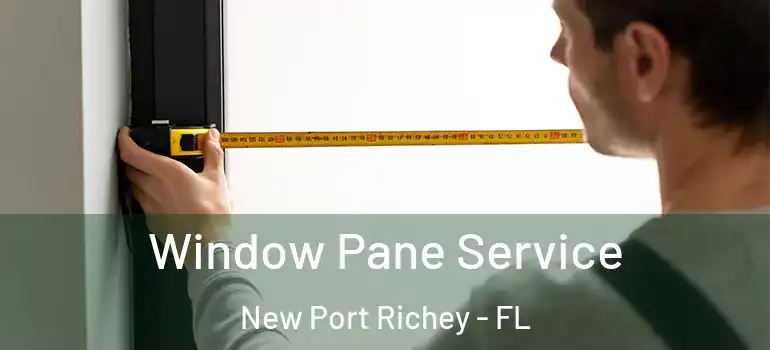  Window Pane Service New Port Richey - FL