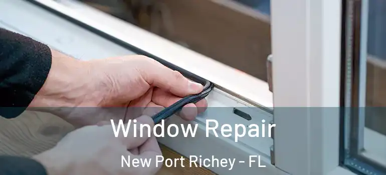 Window Repair New Port Richey - FL